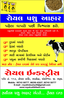 Royal Cattle Feed, Cattle Feed Poultry Feed Ankleshwar | Bharuch | Surat | navsari | Valsad | Vadodara, Poultry Feed Ankleshwar | Bharuch | Surat | navsari | Valsad | Vadodara ,